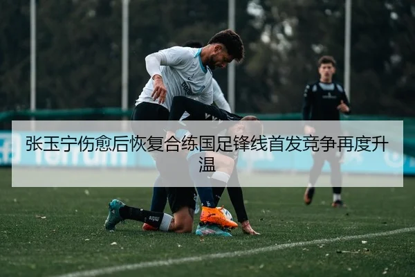 张玉宁伤愈后恢复合练国足锋线首发竞争再度升温