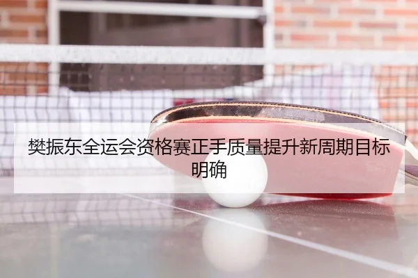 樊振东全运会资格赛正手质量提升新周期目标明确